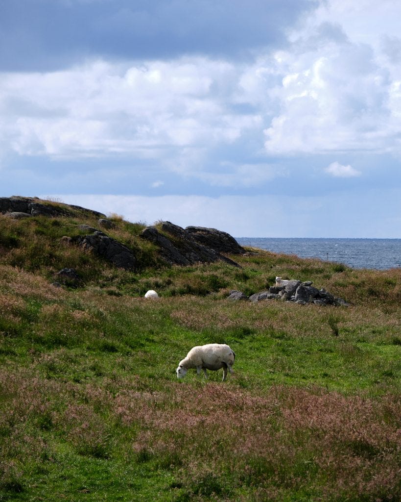 Åkrehamn at Karmøy — one of the finest beaches in Norway 5