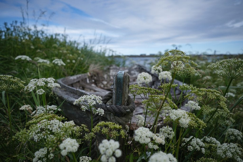 Åkrehamn at Karmøy — one of the finest beaches in Norway 12