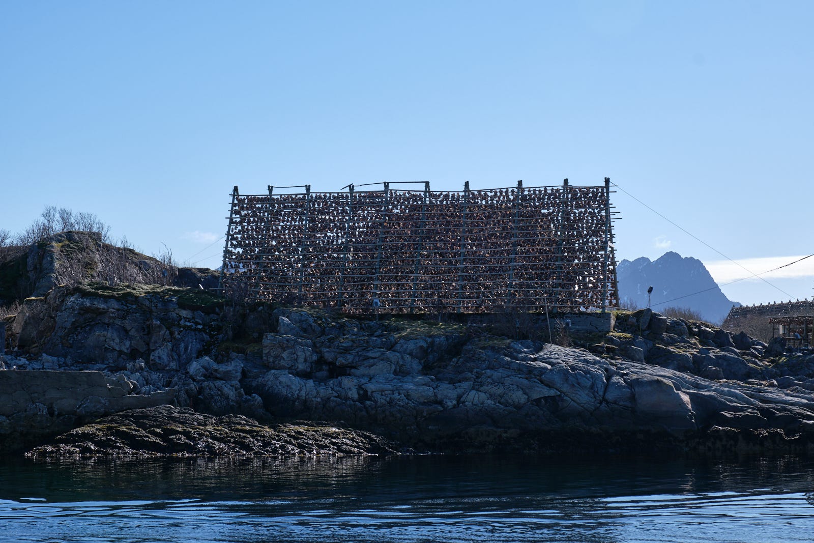 Lofoten with Visma 2022 11