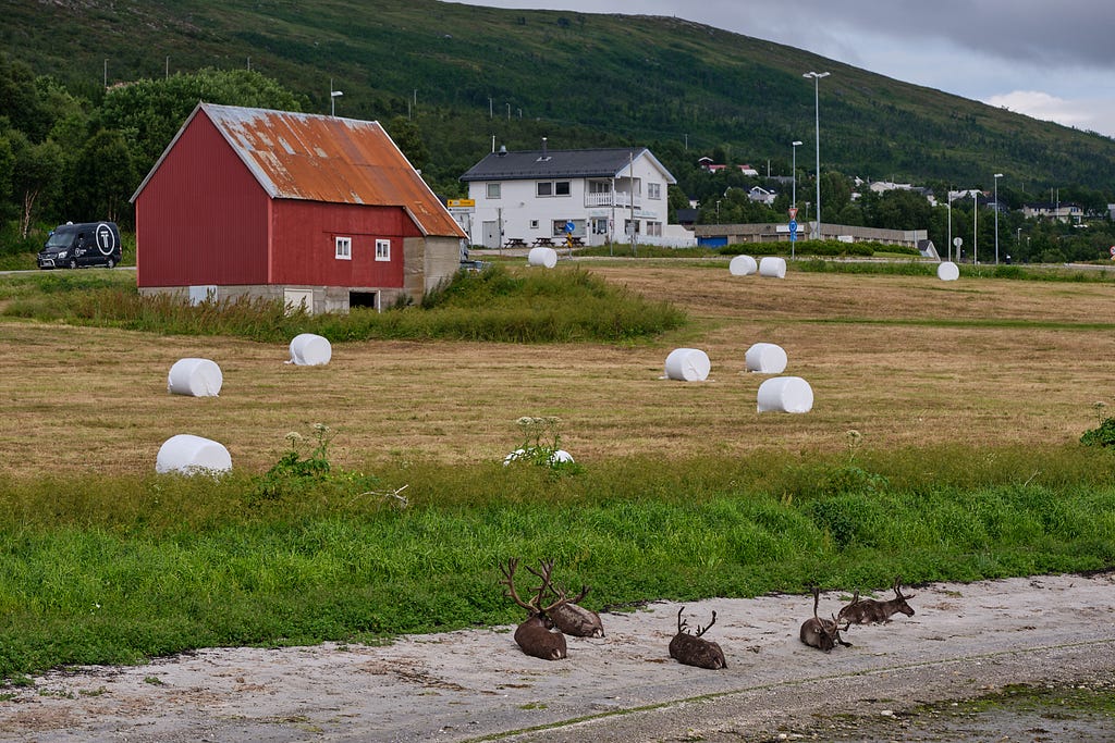 Tromsø in August of 2021 2